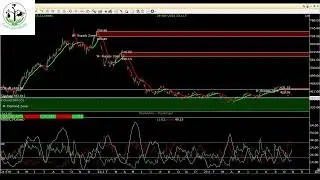 Nifty Bottom Out ?