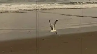 Ocean City, MD 2019