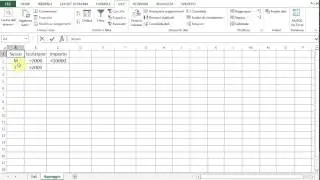 Analisi Dati con Excel 2013 - 16 - Filtri avanzati
