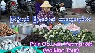 ပြင်ဦးလွင် မြို့မစျေး တစ်ပတ်ပတ်ကြည့်မယ် ! Pyin Oo Lwin Wet Market