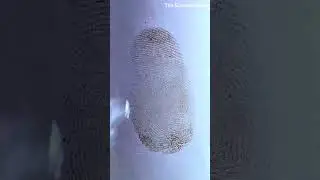 Become a Detective at Home😱|| The EchoNarratives|| #shorts