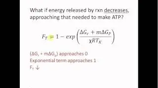 2.3. Thermodynamic controls on microbial activity in geological environments