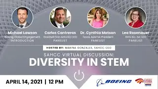 Diversity in STEM Virtual Discussion
