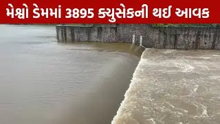 Aravalli | શામળાજીનો મેશ્વો ડેમ થયો ઓવરફ્લો,ડેમના પોટા મારફતે 3895 ક્યુસેક પાણીની જાવક |MantavyaNews