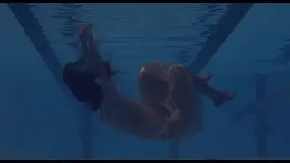 ZVEZDOSLEDI - Utrujeno telo [Official Video]
