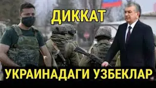 ТЕЗКОР ХАБАР! УКРАИНАДАГИ УЗБЕКЛАРНИ ЭВАКУАЦИЯ КИЛИШ ТУГАТИЛДИ.