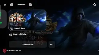 Can it run Path of Exile 1 (Steam) - Redmagic 10s Pro - Gamehub - Android