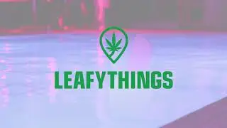 Grand Bizarre hosts the Smokes and Jokes comedy show at the Cannabis Carnival in Toronto! 😂 💨 🍭