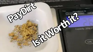 Your Thoughts? Testing Pay Dirt? Is it worth it? What do you think? Panning out a couple Dealers.