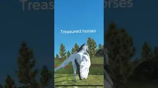 Flying unicorn simulator 2021