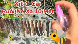 Chỉ Cần L&agrave;m C&aacute;ch N&agrave;y - Phơi Kh&ocirc; Kh&ocirc;ng Bị Ruồi Bu, Đơn Giản Nhất