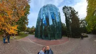 Palmiarnia stara i nowa w Parku Oliwskim 2015-2022r. Gdańsk Oliwa. Rośliny w palmiarni. Park Oliwski
