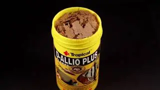 D-ALLIO PLUS un alimento multicomplemental en escamas con ajo.