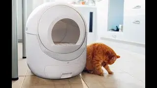 Igloo | Automatic Modern Cat Litter Box- litter-robot self-cleaning litter box