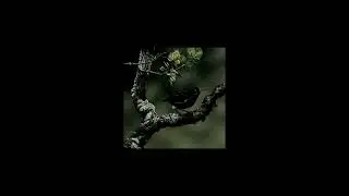 apathy - slowed (Kauaʻi ʻōʻō last song)