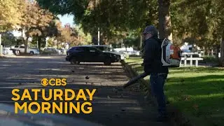 Inside the fight to quiet leaf blowers