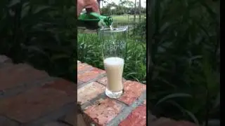 The Perfect Pilsner - Engraved Coordinates Glass