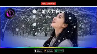 2026華語網絡流行音樂 ||《來世能否共白頭》|| 悠禾 || 動態歌詞