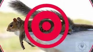 Программа публичный позор 5-17-12