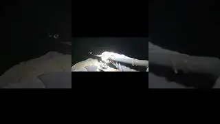 KALAMAR AVI ( イカ釣り -  Squid Fishing) 🦑 17