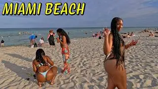 The REAL Beauty of Miami Beach