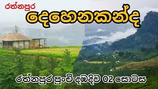 Dehenakanda | රත්නපුර ඉදන් පුංචි නුවරඑලියට ( දෙහෙනකන්දට )  | SUZUKI ALTO එකෙන්  #wewelwaththa