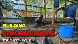 How to Build modern Chicken House Floor