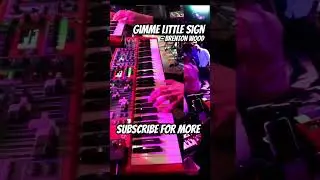 Gimme Little Sign #nordstage3 #basscover #keyboardcover #basscover #organsolo #hammondb3 #pianocover
