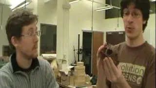 The Fossils of Antarctica