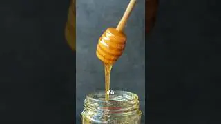 Vegan Honey recipe with foraged gorse & dandelion 🍯