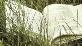 Jason Loved To Read (Creepypasta) Narration