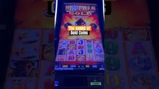 Buffalo Slot 3 Coin Sound