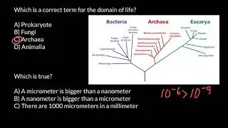 Three domains of life