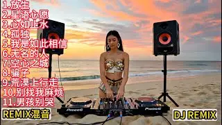 全国语LakHouse音乐流行DJ歌曲车载慢摇串烧 DJ REMIX【放生】【星语心愿】【心如止水】【孤独】【我是如此相信】【无名的人】【空心之城】【骗子】DJ打碟实录 Vol.37