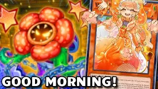 WAKE CUP - Ten Minute Testing