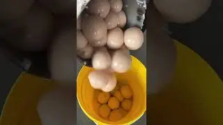 Daily work