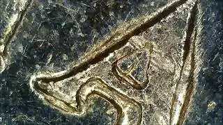 1999 10c Double Rim Tilted Die  Error @HowardsCoinFinds  Up close Video