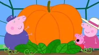 La citrouille g&eacute;ante | Peppa Pig Fran&ccedil;ais Episodes Complets