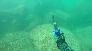 Snorkelling and Spearfishing The Gold Coast Seaway