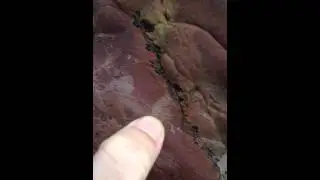 Geo Field Trip: touching siltstone
