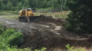 Cat 955 o Linkan