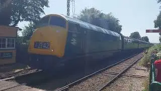 Diesel Gala Mid Hants Railway Watercress Line 🛤 Class 42 Warship Passing Ropley July 2025