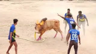 கருப்பாயூரணி அய்யன்பாண்டி பாண்டிச்சாமி குழு Vs பெரியபாறைபட்டி AK.அஜித்குமார் ராக்கெட் செவளை காளை