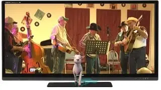 SPRINGFIELD MO MOUNTAIN MUSIC 3-7-15