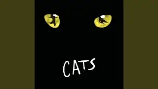 The Rum Tum Tugger