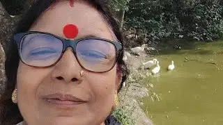 মামনির রান্নাঘর is live রান্না বান্না নিয়ে আমার কাজ ❤️❤️🌿