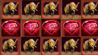 Indian Ruby🎰 MAXIMALEINSATZ KNALLT☀️☀️☀️ AGs Automat Offen!!! 5Linien