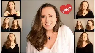 HABIBI - Kate Bass