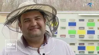 Dragoș Ivan, un apicultor cu 400 de stupi care face pasul spre bio