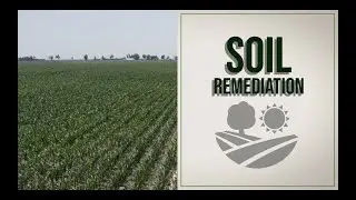 Soil remediation